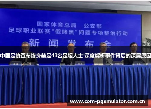 中国足协宣布终身禁足43名足坛人士 深度解析事件背后的深层原因